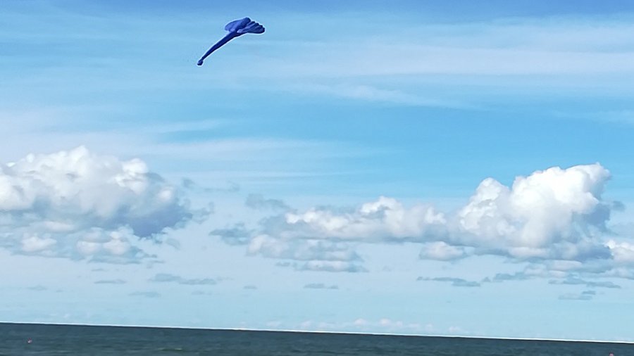 Вентспилс обетованный. Город, ставший желанным местом отдыха НП ИАЭС (фотогалерея) - В Висагинасе