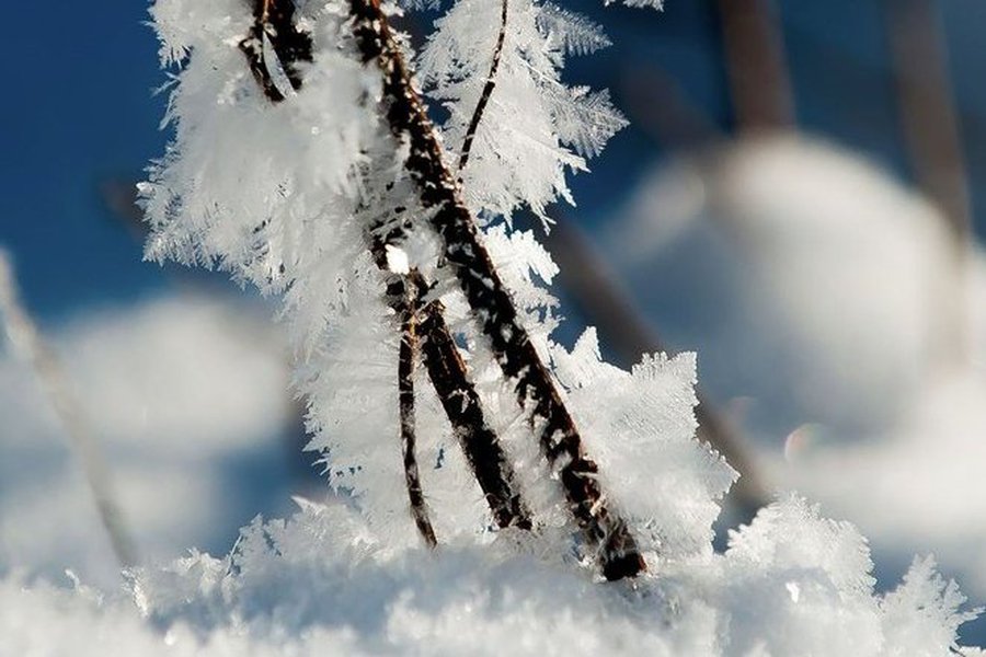 Установившиеся в Литве сильные морозы ежедневно собирают скорбную дань                                                            - Происшествия и криминал