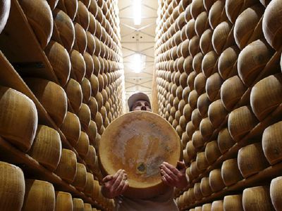 Минфин хочет приравнять ввоз санкционной продукции к уголовно наказуемой контрабанде - В Мире