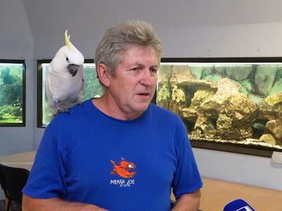 Альвидас Витас: «Аквариум – это не бизнес. Но я не продал бы его и за миллион» (видео) - В Висагинасе