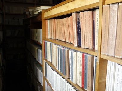 Директор городской библиотеки: Из двух зол выбираем меньшее - В Висагинасе