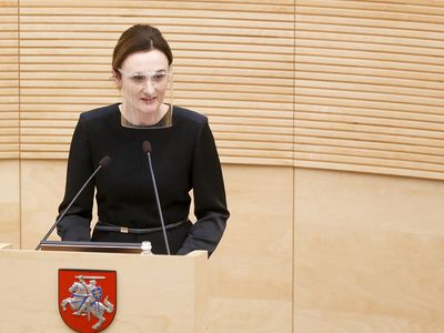 В. Чмилите-Нильсен: этот Сейм станет моральным примером - Литва и страны Балтии