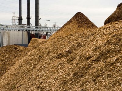 Энергетика будущего. В Литве использование биомассы в производстве тепла к 2030 г. должно достигнуть 90% - Энергетика