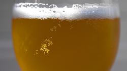 Nealkoholinis alus dar niekada nebuvo toks populiarus kaip šiemet