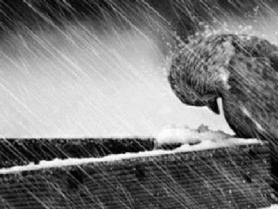 Погода: нас ожидают дожди, мокрый снег и слякоть - Это интересно