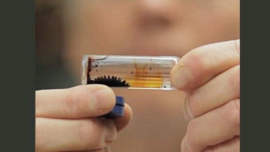 Нефтяные разливы предложили очищать при помощи магнитов - Наука и здоровье