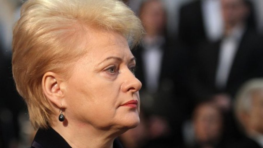 Д.Грибаускайте: Литва подвергается давлению из-за программы Восточного партнёрства - Литва и страны Балтии