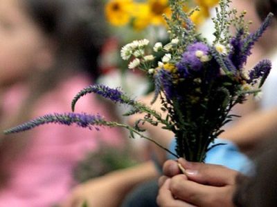 Šiandien Lietuvoje švenčiama Žolinė                  - Lietuva ir Baltijos šalys