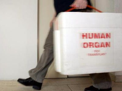 В странах Балтии — единая система трансплантации органов? - Наука и здоровье