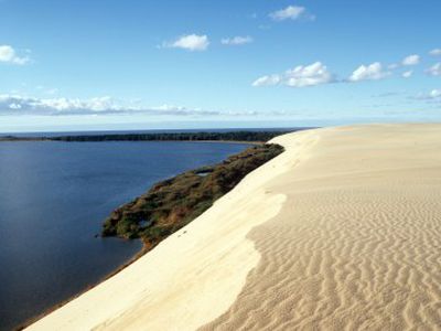 Neringa planuoja tapti gydyklų kurortu - Lietuva ir Baltijos šalys