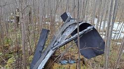 СМИ: Падение дронов в странах Балтии - побочный эффект ударов по российским портам