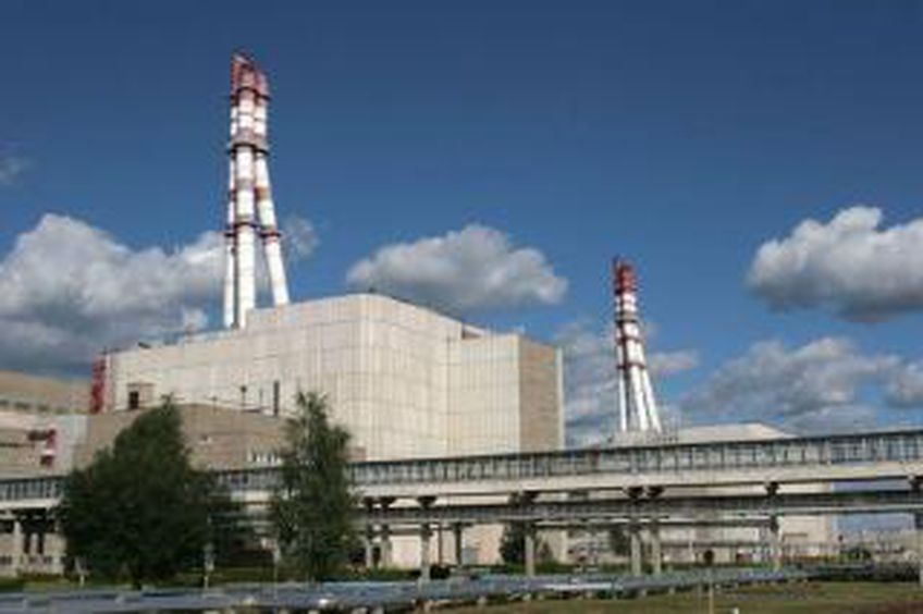 Литва получит лишь треть необходимых ресурсов на закрытие Игналинской АЭС
