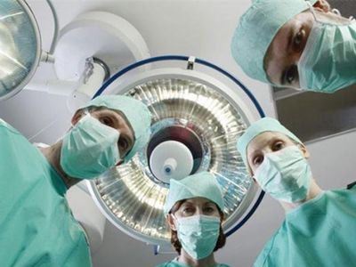 Хирурги по ошибке могут пересадить почку вместо печени - Наука и здоровье