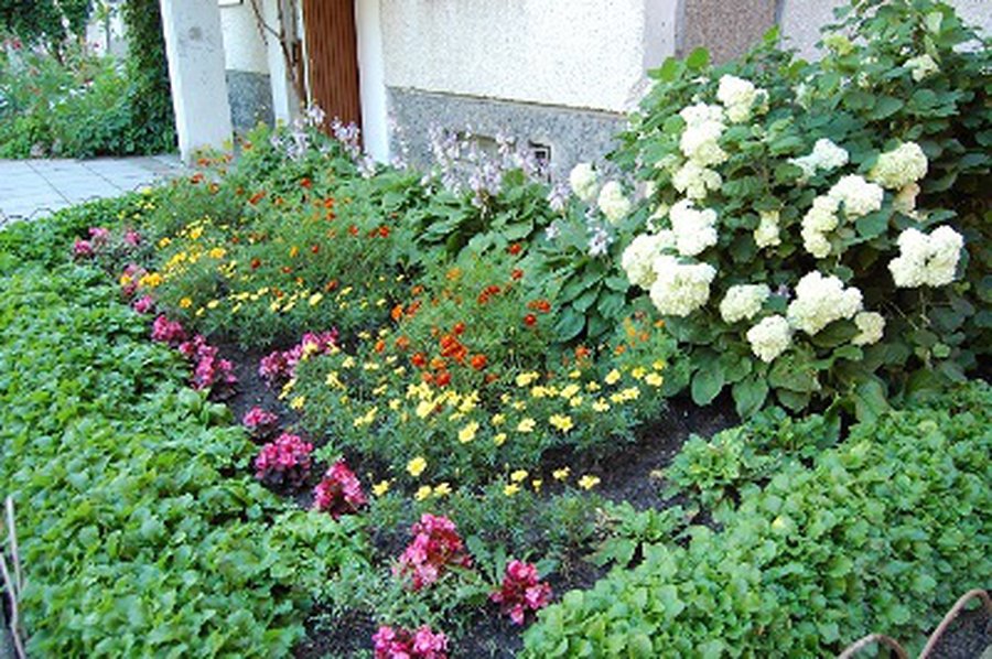 Darykime mūsų miestą gražų - Visagine