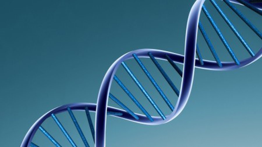 Создан эмбрион от двух «мам» и одного «папы» - Наука и здоровье