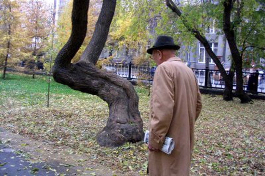 Į tarybą Kupiškyje bus renkami senoliai - Lietuva ir Baltijos šalys