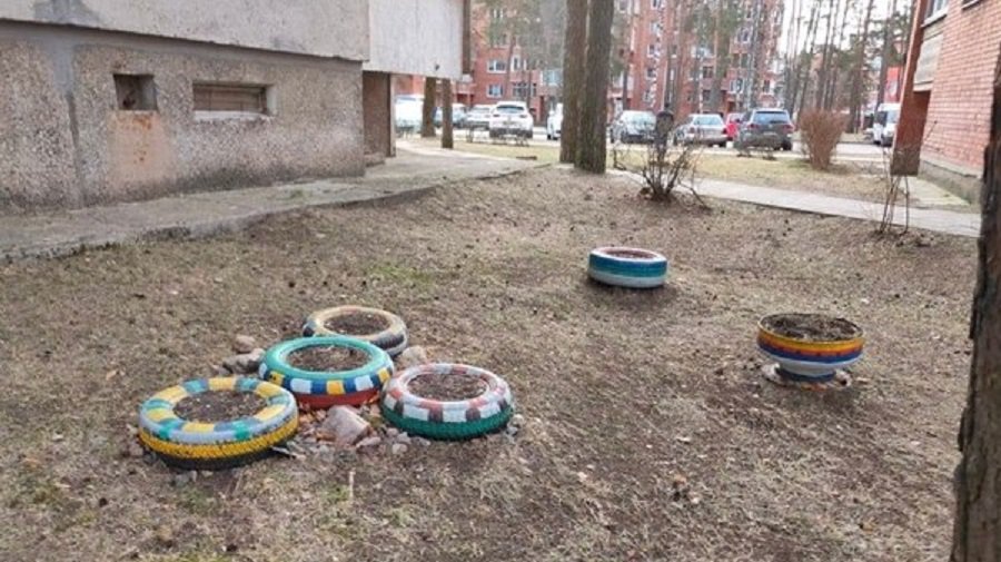 Informacija apie daugiabučių kiemų gėlynus - Visagine