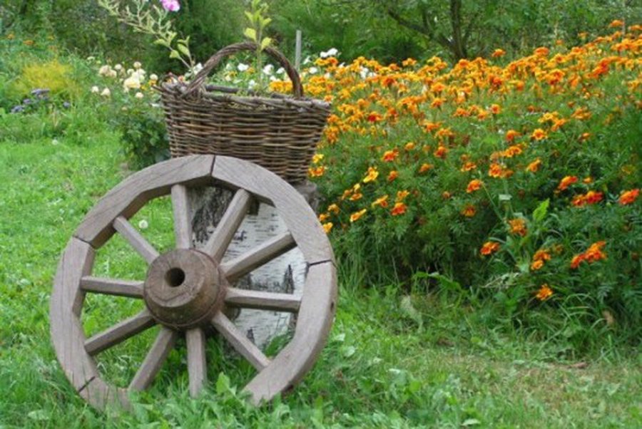 Золотой век сельского туризма закончился - Хобби, отдых и развлечения
