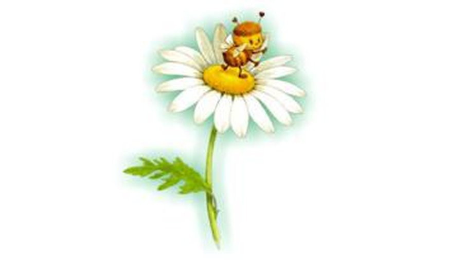 Праздник юных мастеров - В Висагинасе