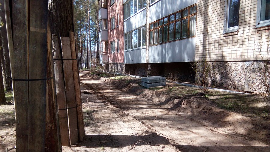 И вновь дилемма – березы или парковочные места - В Висагинасе