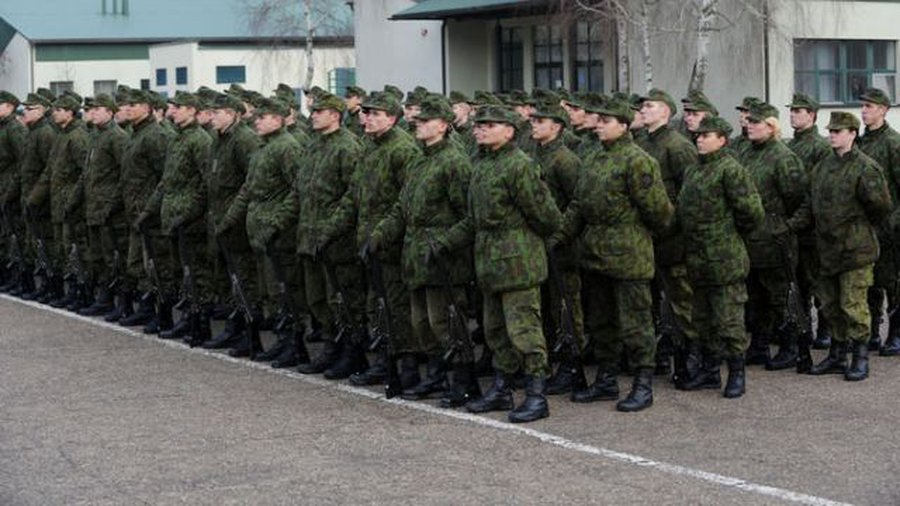 Сейм запретил военным работу в другом месте - Литва и страны Балтии