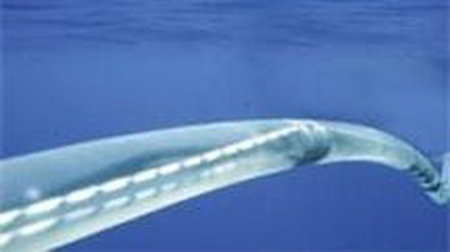 Европа финансирует энергомост из Прибалтики в Швецию, но не в Польшу - Энергетика