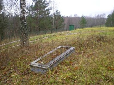 \"Лежит солдат у деревушки дальней...\" - В Висагинасе