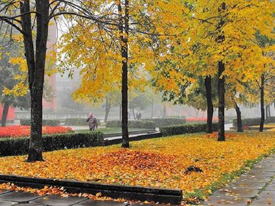 Погода в Висагинасе в ближайшие дни не изменится - В Висагинасе