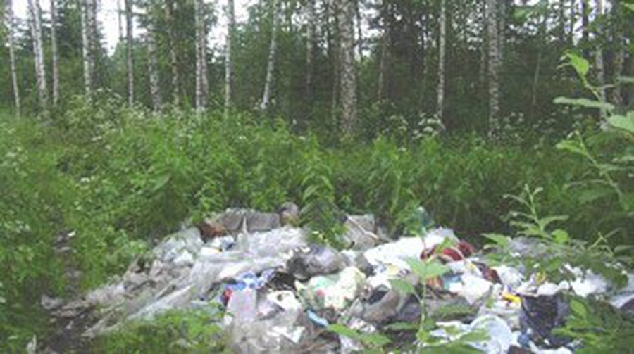 Освободим Литву от мусора!  - Литва и страны Балтии