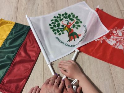 Висагинцев приглашают принять участие в «Большом Марше в защиту семей» (видео) - Литва и страны Балтии