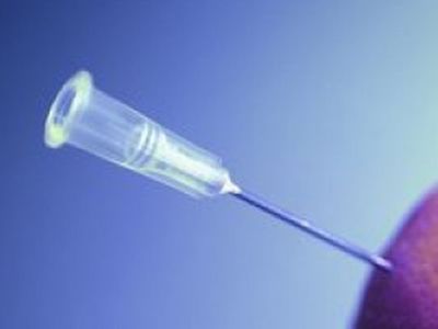 Литовский бизнес получит европейскую «инъекцию» - Литва и страны Балтии