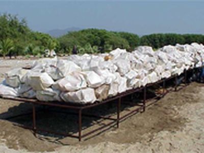 Вакцина против кокаина - Наука и здоровье