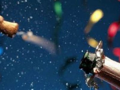 Праздничный стол: напитки на Новый год 2013  - Хобби, отдых и развлечения