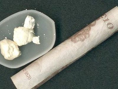 В Калининграде к 8,5 годам приговорен дальнобойщик-контрабандист наркотиков из Литвы

 - Происшествия и криминал