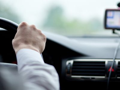 «Сов» признали плохими водителями - Наука и здоровье