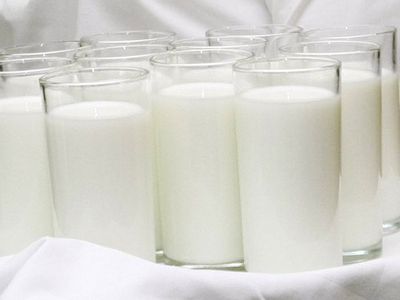 ГПВС: заражение диоксином обнаружено еще в семи пробах молока - Литва и страны Балтии