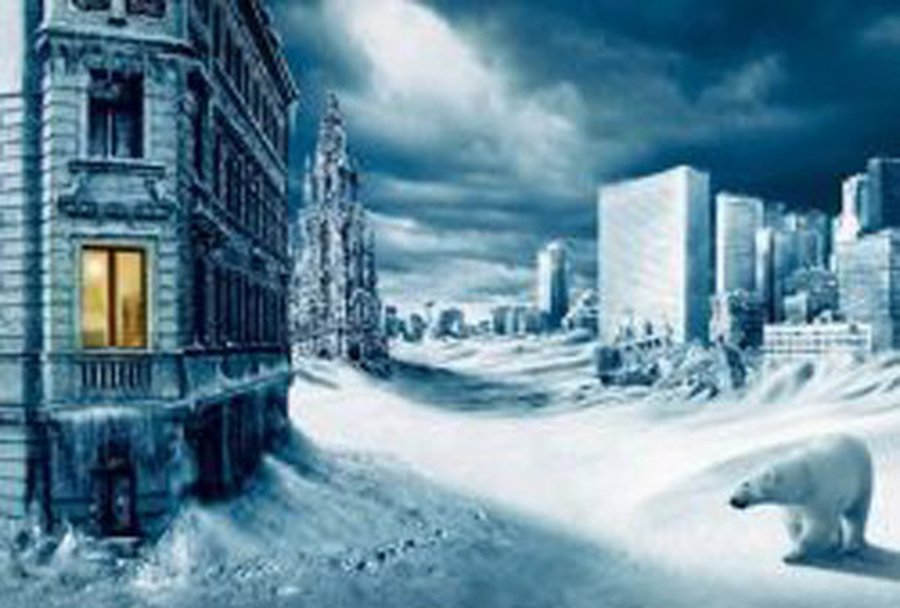 «Нужно заготавливать дрова»