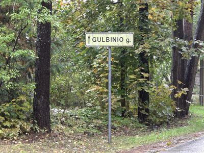 Когда установят "лежачих полицейских" и перенесут автобусную остановку в с/о "Pavasaris"? (видео) - В Висагинасе