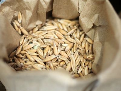 В Израиль доставили кошерную пшеницу из Литвы - Литва и страны Балтии