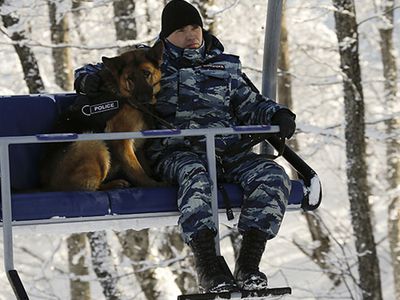 Иностранные спецслужбы привлекли к обеспечению безопасности в Сочи - Культурные и спортивные мероприятия
