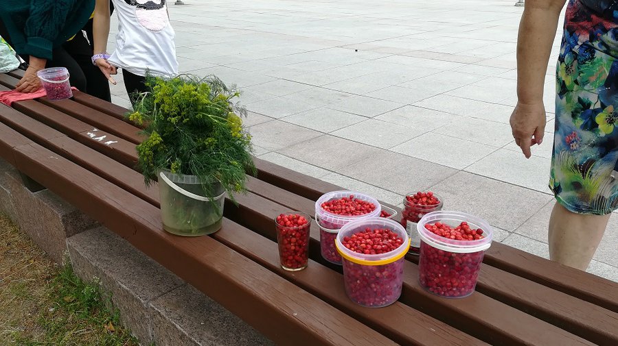 Сезон в разгаре, а новых прилавков для уличной торговли до сих пор нет - В Висагинасе