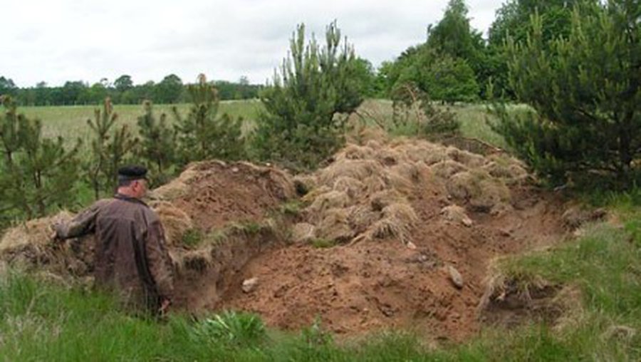 Baigta dar viena "juodosios archeologijos" byla - Įvykiai ir kriminalas