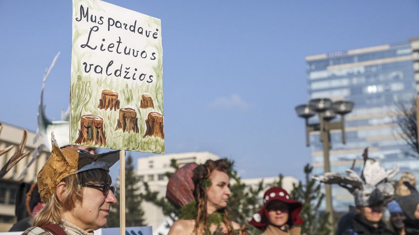 Vilniuje vyko eisena prieš medžių kirtimą: politikai raginti ginti gamtą