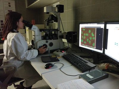 Italijoje ir Austrijoje sukurti 3D navikų modeliai individualizuotai vėžio terapijai - Projektas „Europos Pulsas“