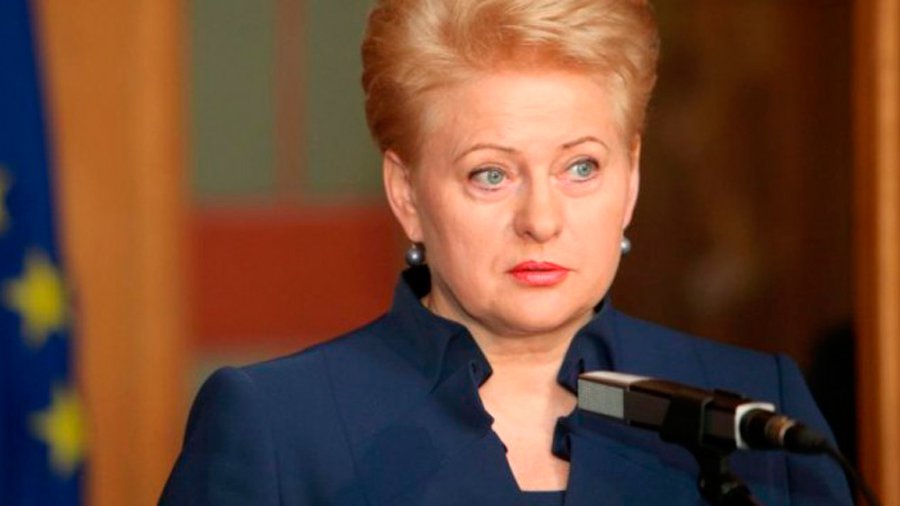 ИАПЛ назвали Грибаускайте обманщицей - Литва и страны Балтии