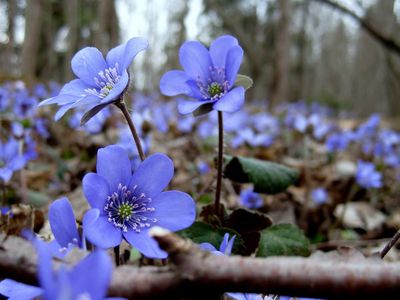 Погода: после дождей вернется приятное тепло - Литва и страны Балтии