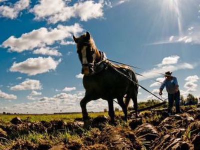 Еврокомиссия требует от Литвы вернуть 12 млн. литов, выделенные на сельское хозяйство

 - Литва и страны Балтии