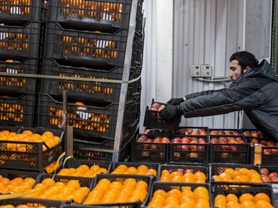 Россия ужесточает правила ввоза фруктов и овощей через границу - В Мире