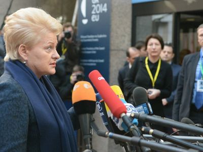 Президент Литвы сгущает краски - Литва и страны Балтии