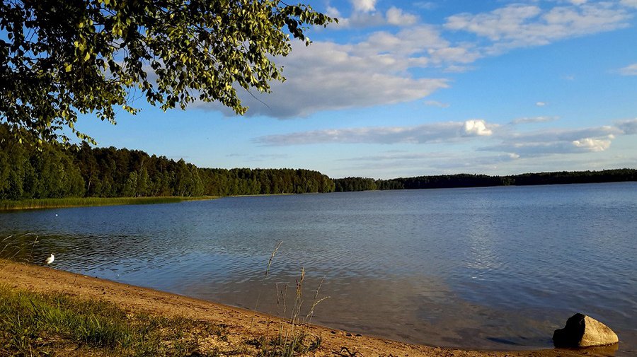В Висагинасе ожидается сухая и теплая погода - В Висагинасе